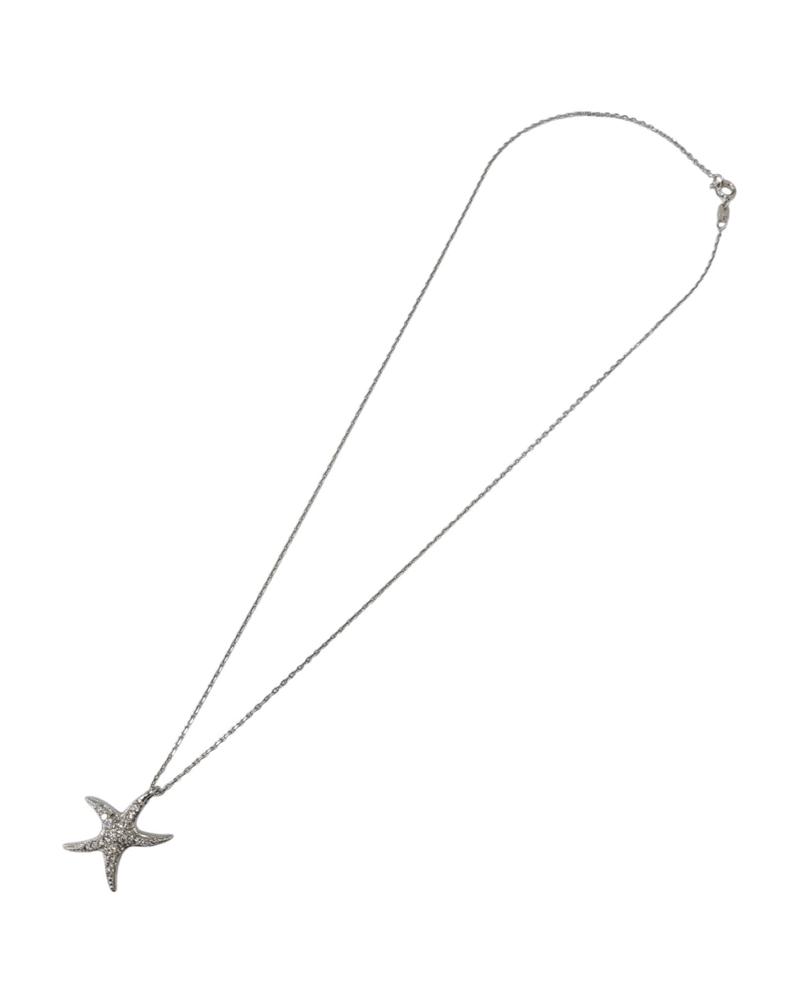 Cadena de plata (925)