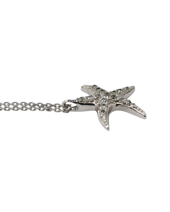 Cadena de plata (925)