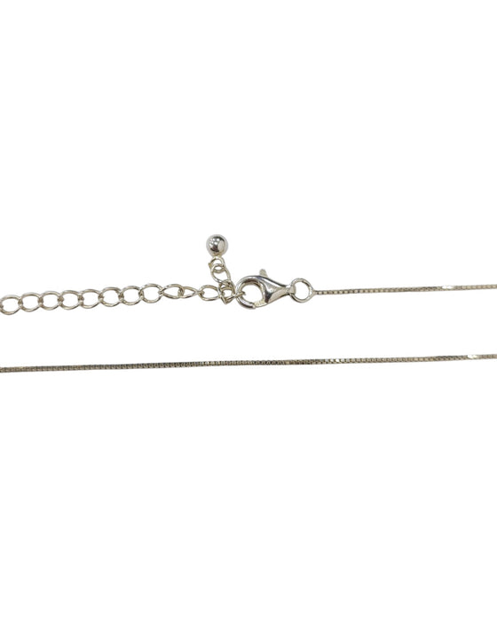 Cadena de plata (925)