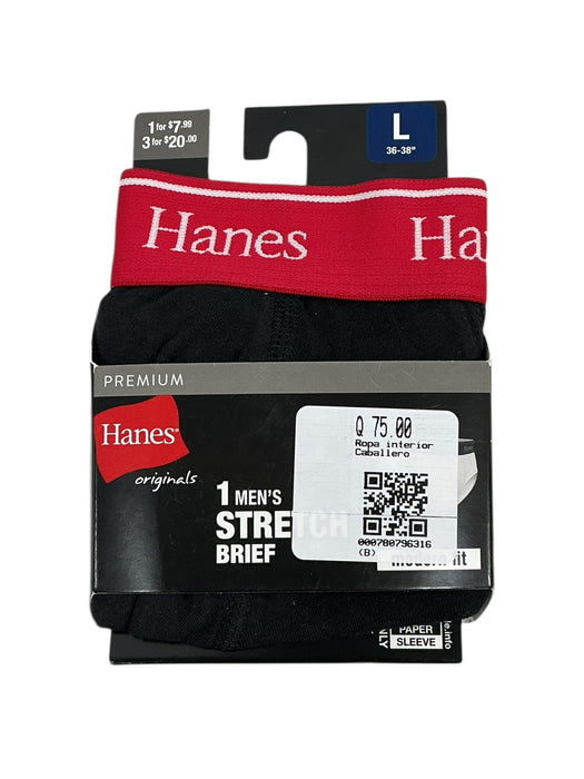 Ropa interior L (HANES)