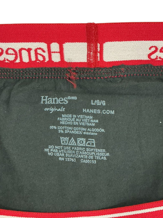 Ropa interior L (HANES)