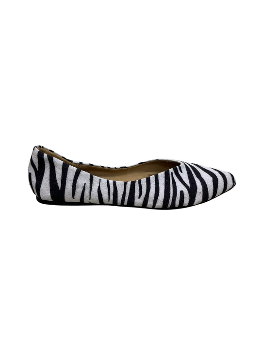 Zapato 6 (SOCCOMDARE)