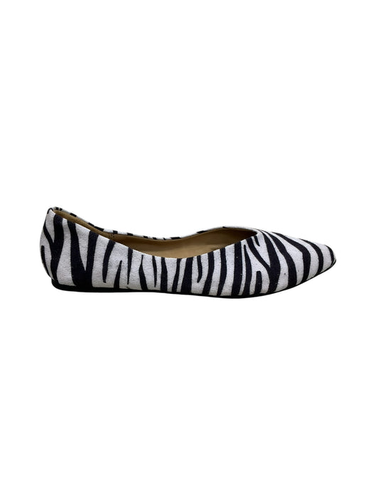 Zapato 6 (SOCCOMDARE)