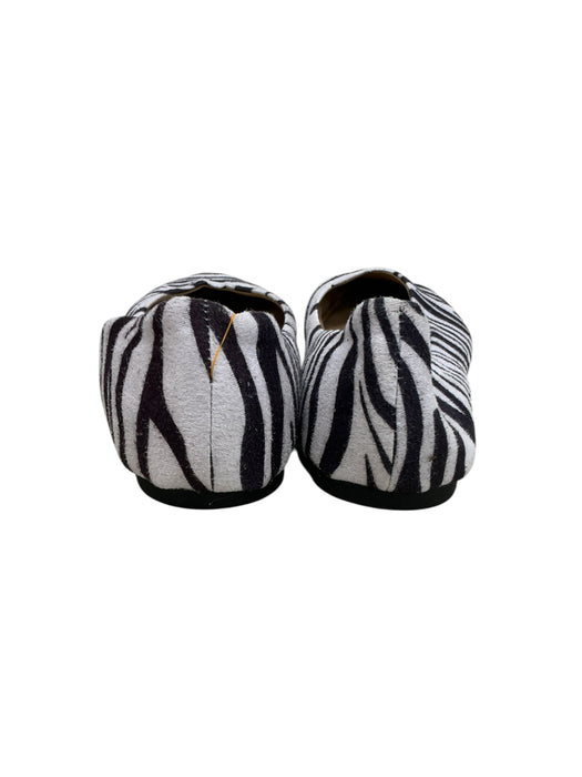 Zapato 6 (SOCCOMDARE)
