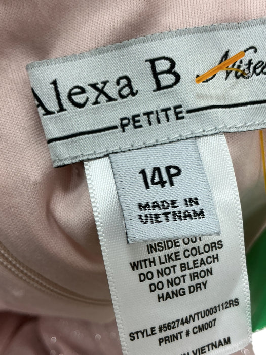 Vestido 14P (ALEXA B)