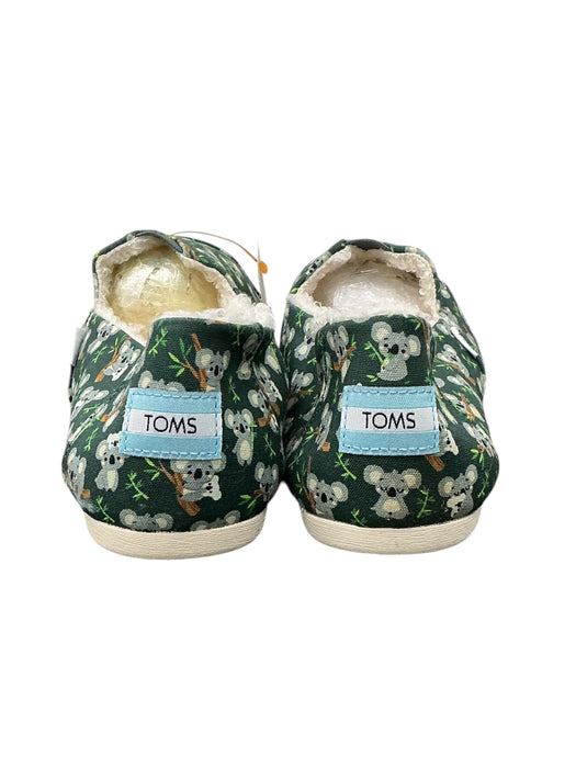 Zapato 8.5 (TOMS)