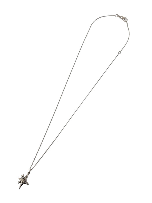 Cadena de plata (925)