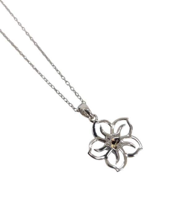 Cadena de plata (925)