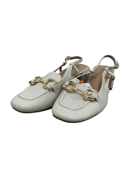 Zapato 6 (A NEW DAY)