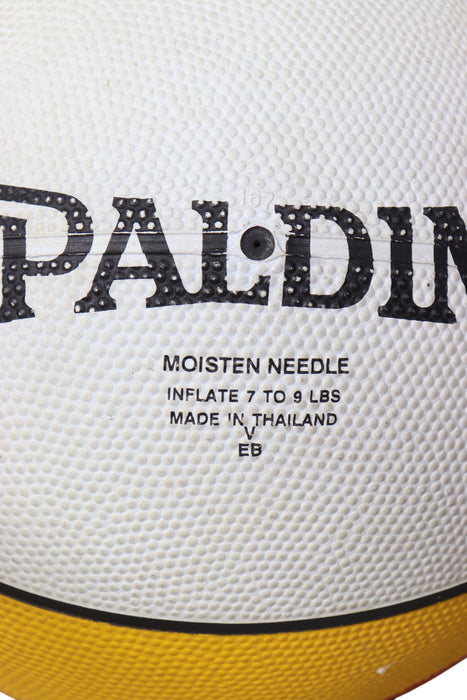 Pelota de basquetbol (SPALDING)