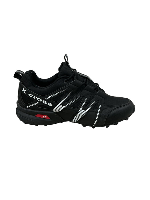 Tenis