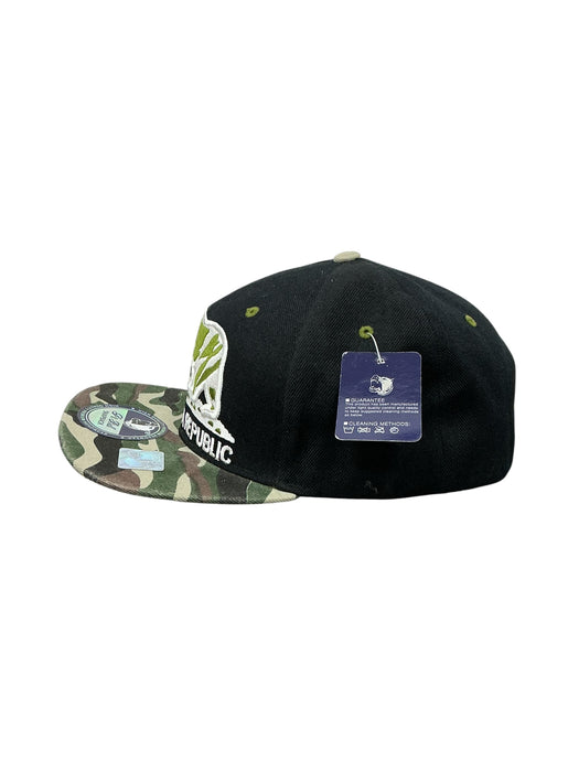 Gorra (PIT BULL)