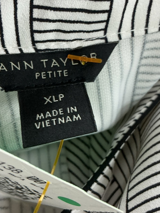 Blusa XL (ANN TAYLOR)