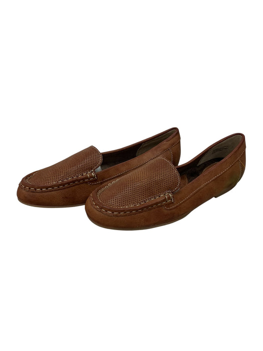 Zapato 8.5 (B.O.C)