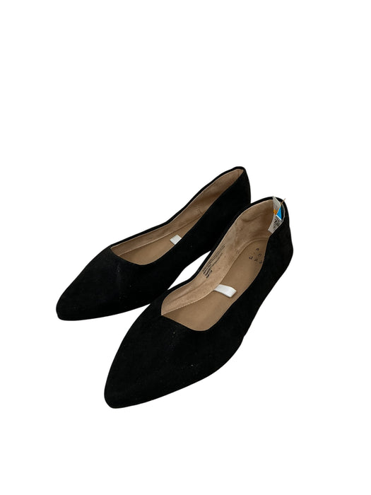Zapato 7 (A NEW DAY)