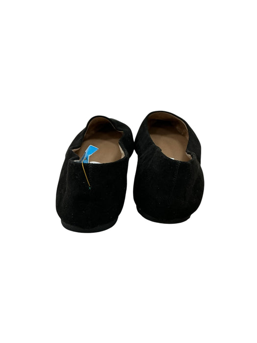 Zapato 7 (A NEW DAY)