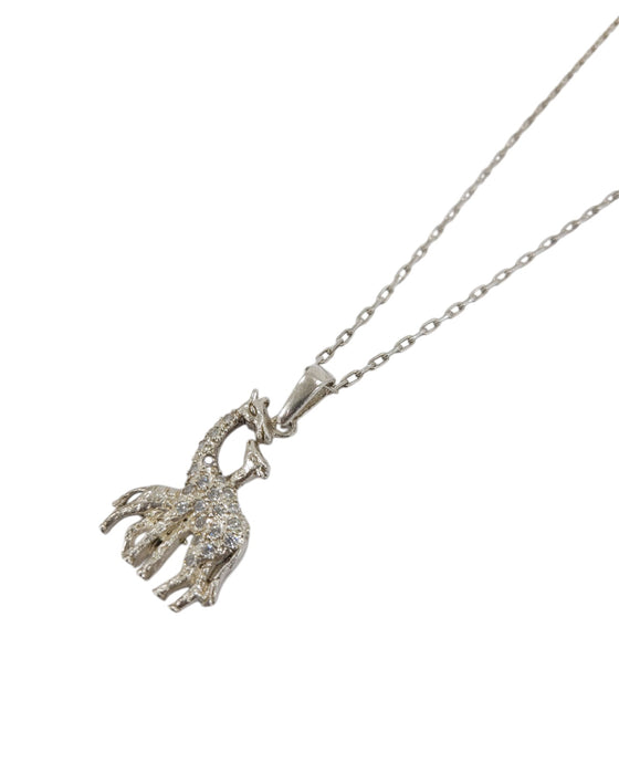Cadena de plata (925)