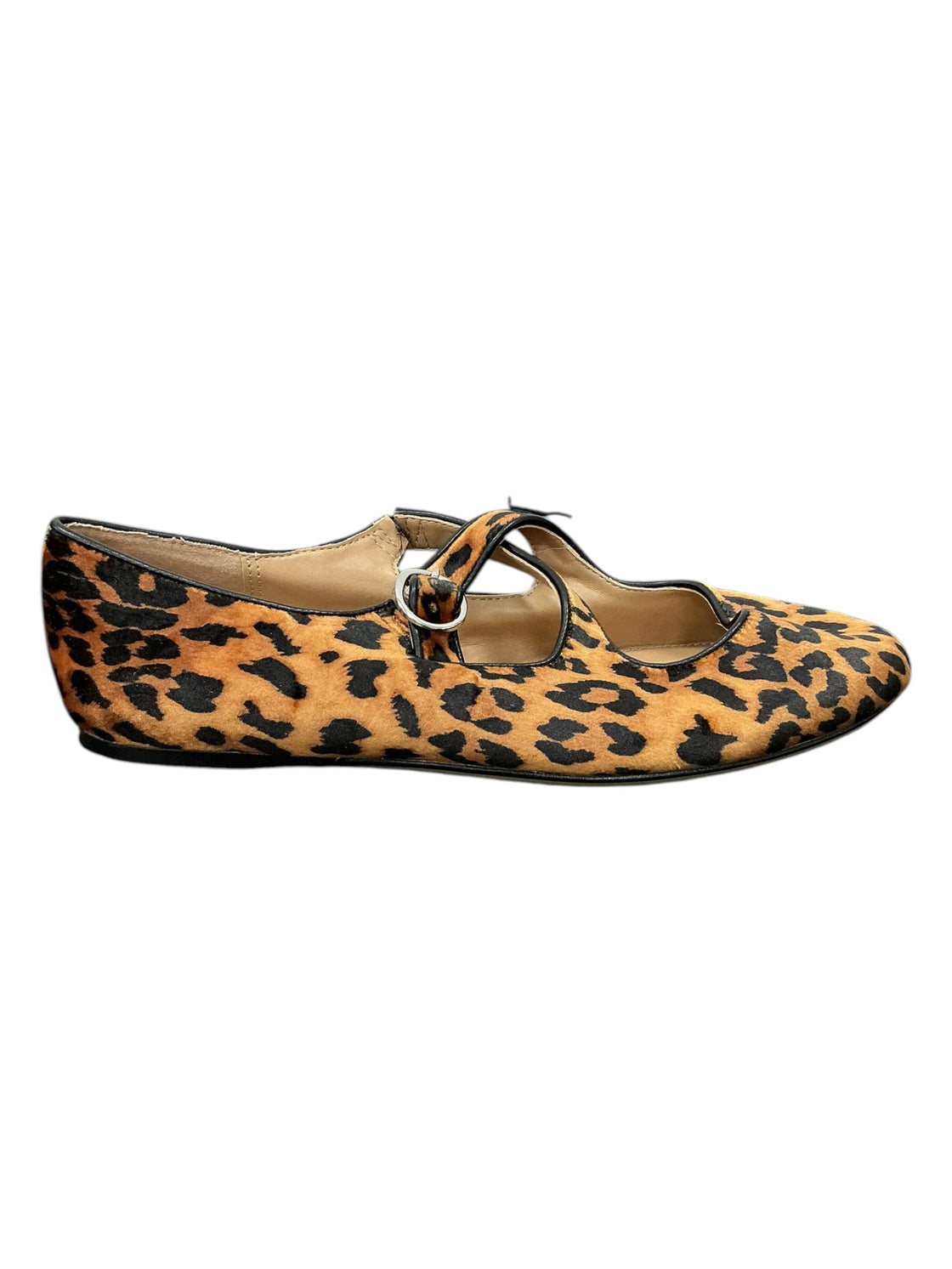Zapato 8 (A NEW DAY)