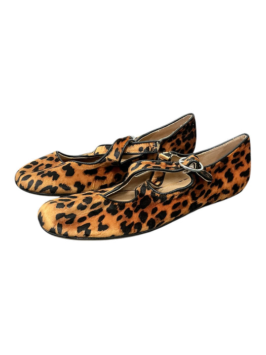 Zapato 8 (A NEW DAY)