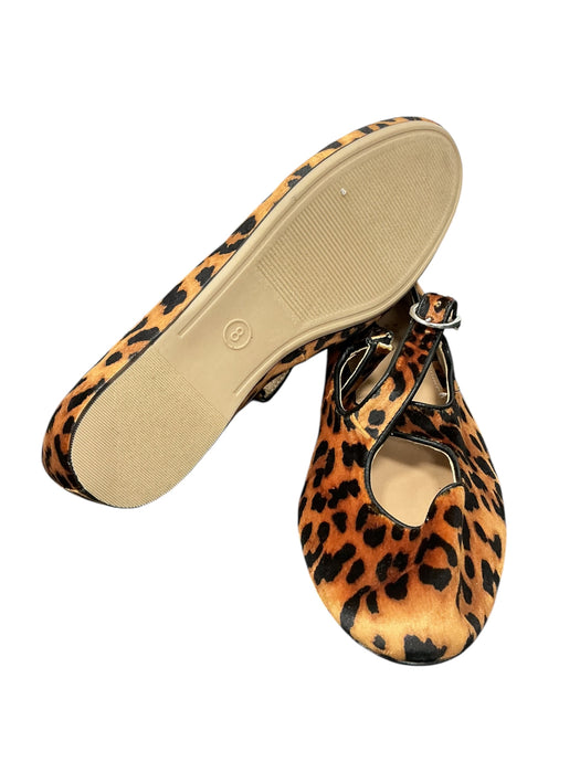 Zapato 8 (A NEW DAY)