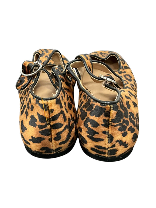 Zapato 8 (A NEW DAY)