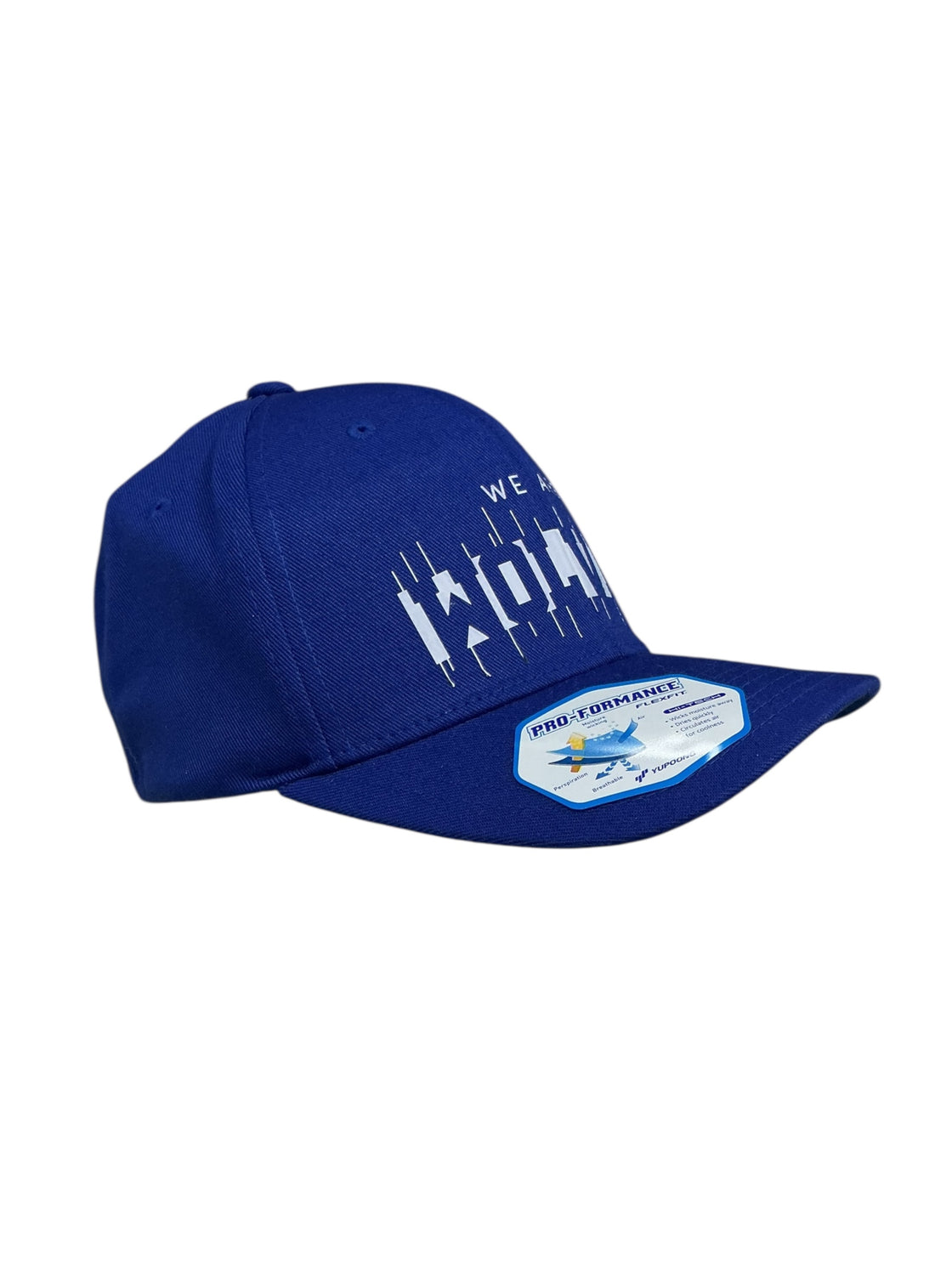 Gorra (FLEXFIT)