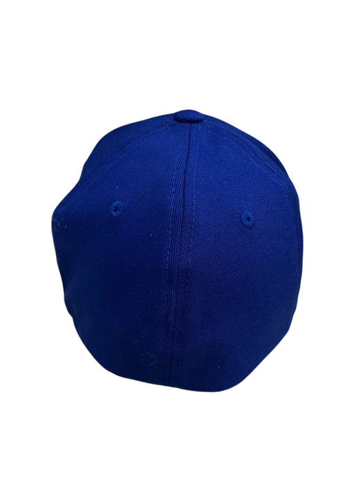 Gorra (FLEXFIT)