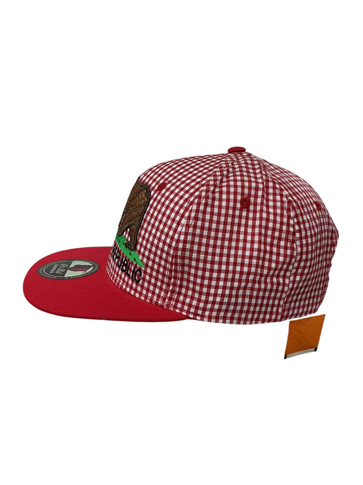Gorra  (PITBULL PREMIUM HEADWEAR)