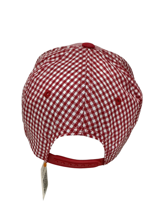 Gorra  (PITBULL PREMIUM HEADWEAR)