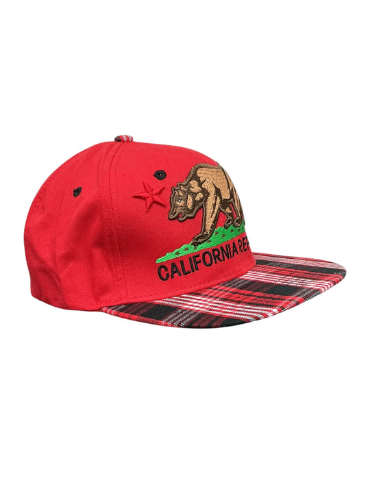 Gorra (PIT BULL)