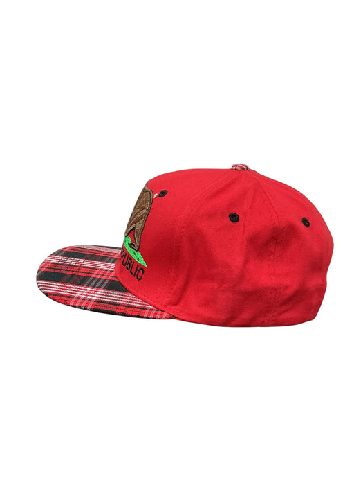 Gorra (PIT BULL)