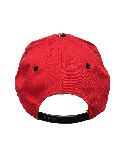 Gorra (PIT BULL)
