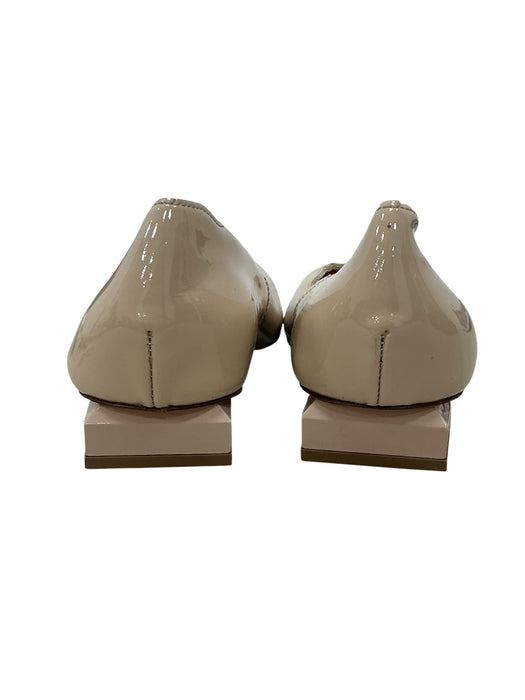 Zapato