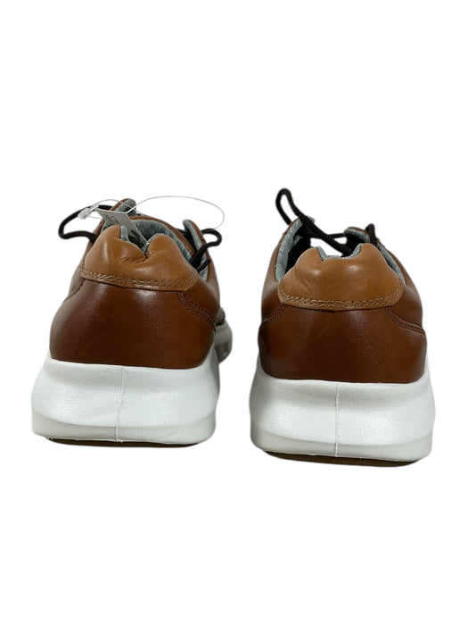 Zapato 9 (JOHNSTON & MURPHY)