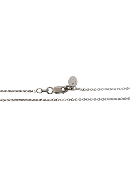 Cadena de plata (925)