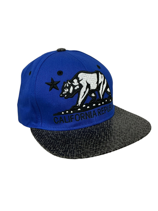Gorra  (PIT BULL)