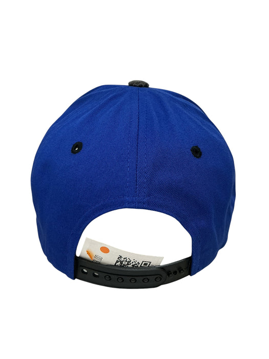Gorra  (PIT BULL)