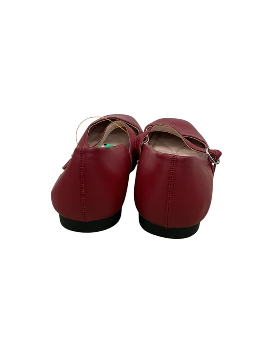 Zapato 8.5 (ATHMILE)