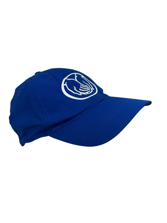 Gorra (NIKE)
