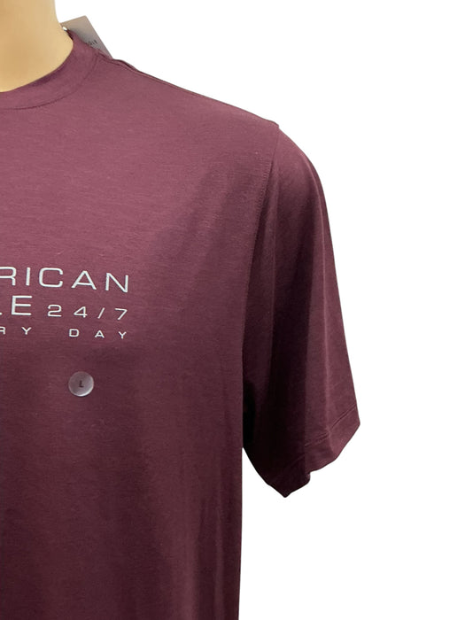Playera L (AMERICAN EAGLE)