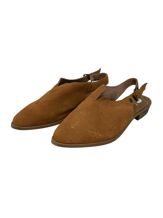 Zapato 9 (YELLOW BOX)