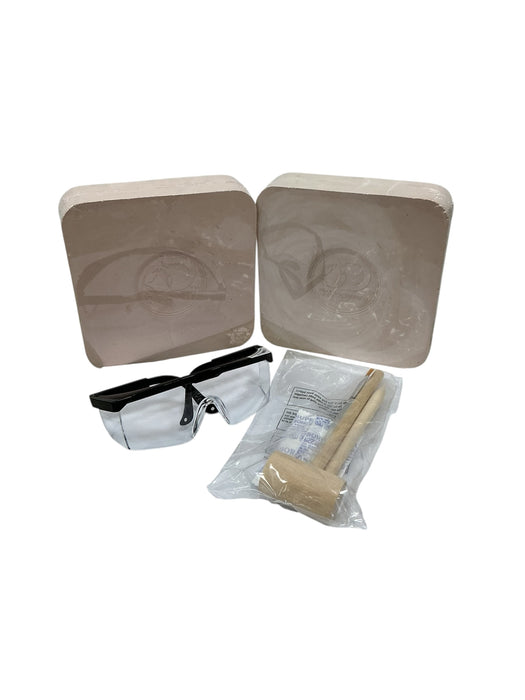 Kit de excavación de dinosaurios (DISCOVERY)
