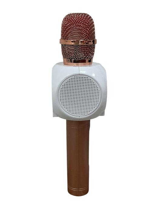 Micrófono de Karaoke (ICONIC)