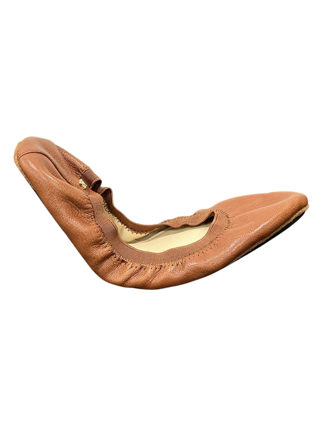 Zapato 7