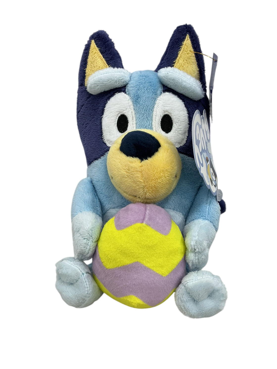 Bluey (BLUEY)
