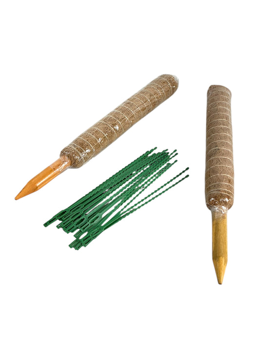 Soporte para planta (FABULAS)