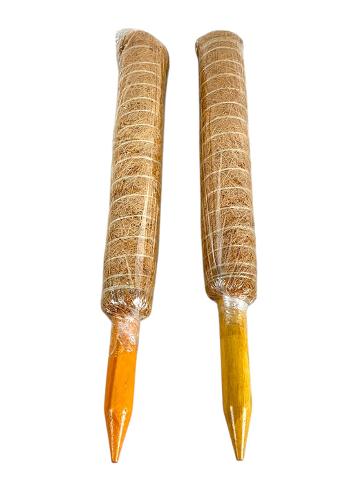 Soporte para planta (FABULAS)