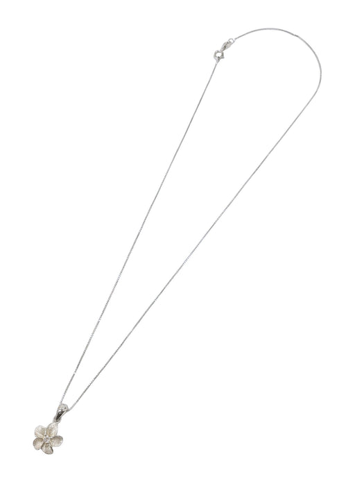 Cadena de plata (925)