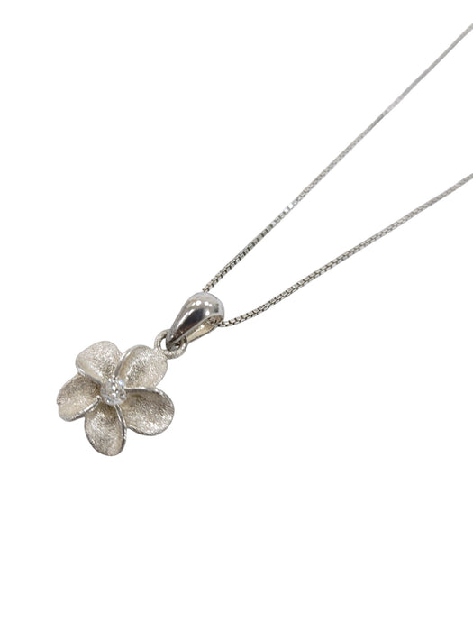 Cadena de plata (925)