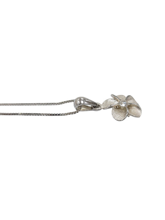 Cadena de plata (925)